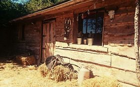 La Cabane Aux Loups